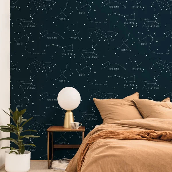 Our Planet Constellations Wallpaper