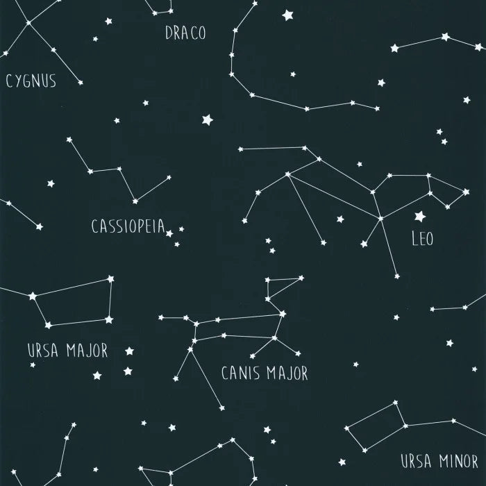 Our Planet Constellations Wallpaper