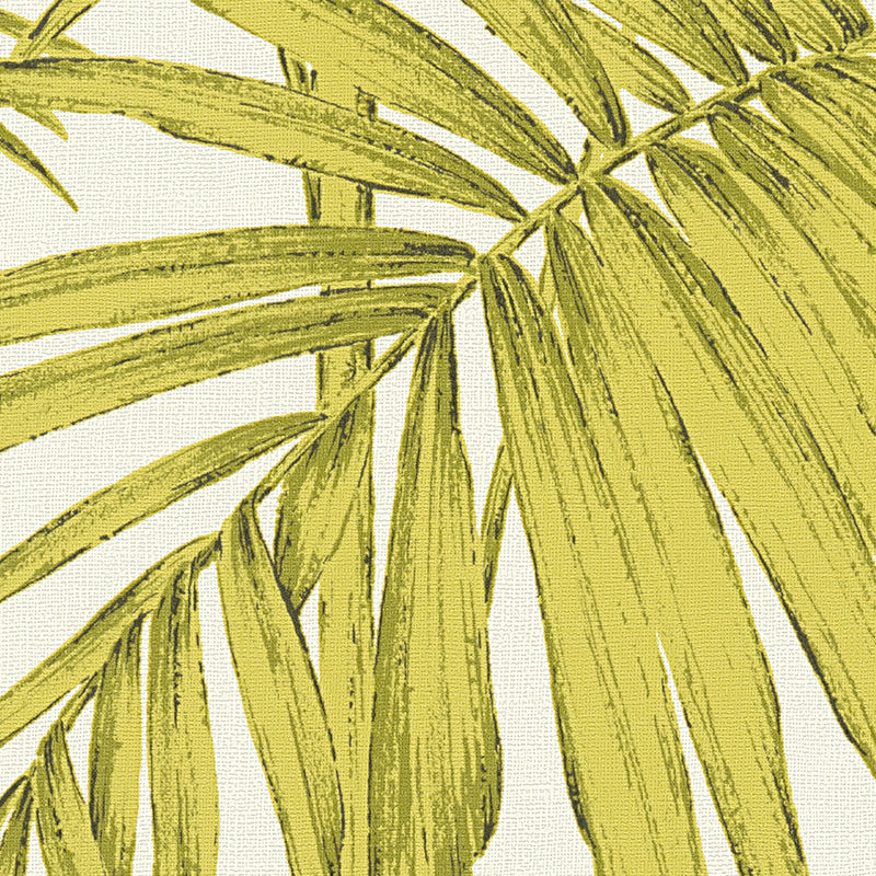 Lola Palm Wallpaper - Green