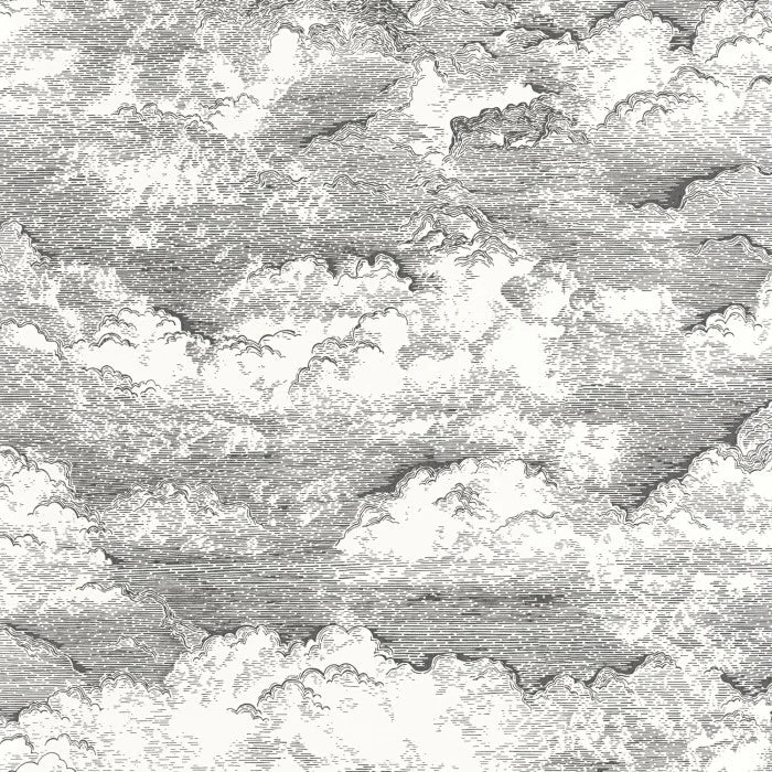 Songe Cloud Wallpaper - Black/White