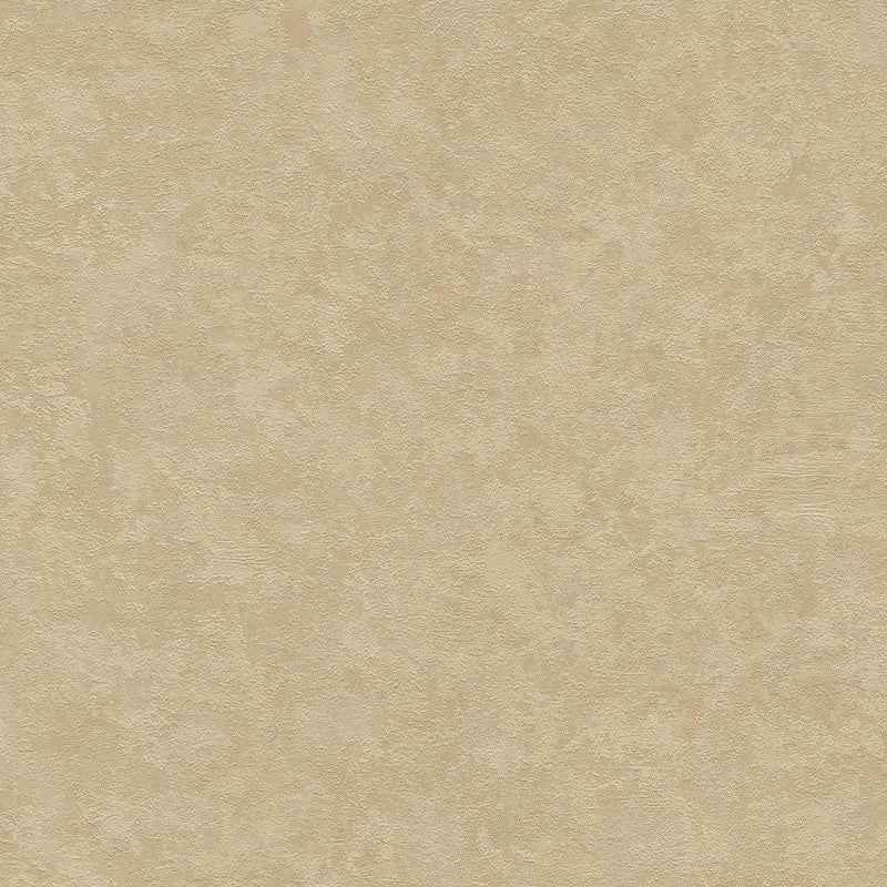 St. Petersberg Coordinates Wallpaper - Beige/Brown-1