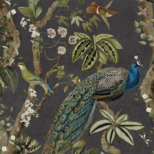 Sample - Cassia - Exotic Peacock Wallpaper - Charcoal