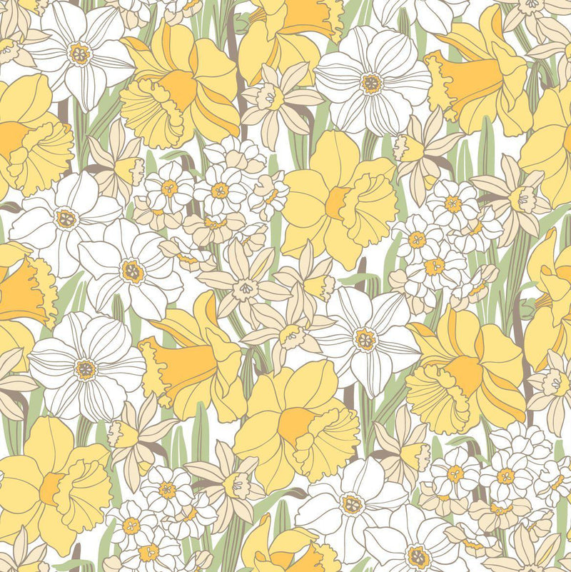 Daffodil Wallpaper - Yellow