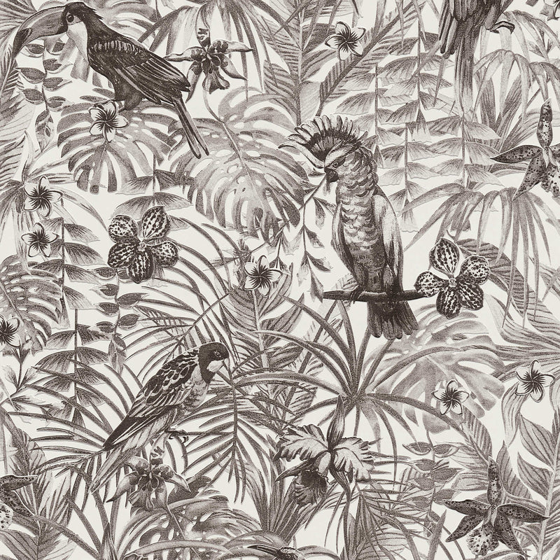 Jungle Parrots Wallpaper - Black + White - Discontinuing