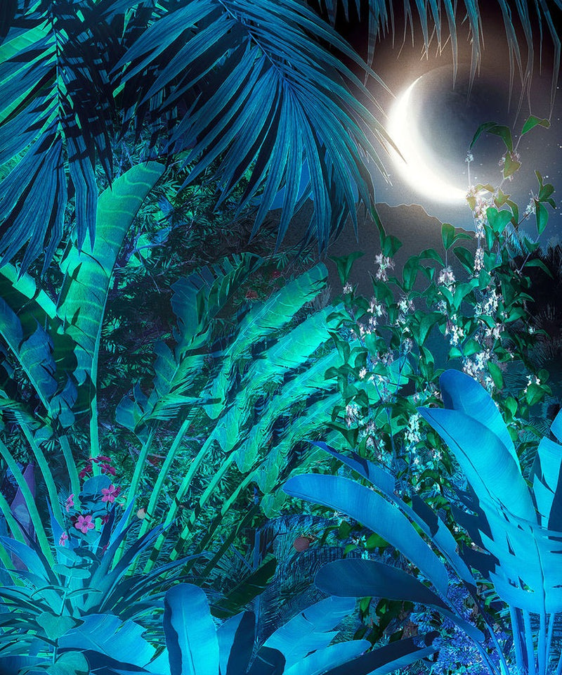 Moonlit Tropics Mural Wallpaper