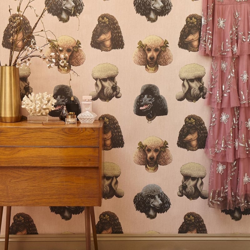 Poodle Parlour Wallpaper