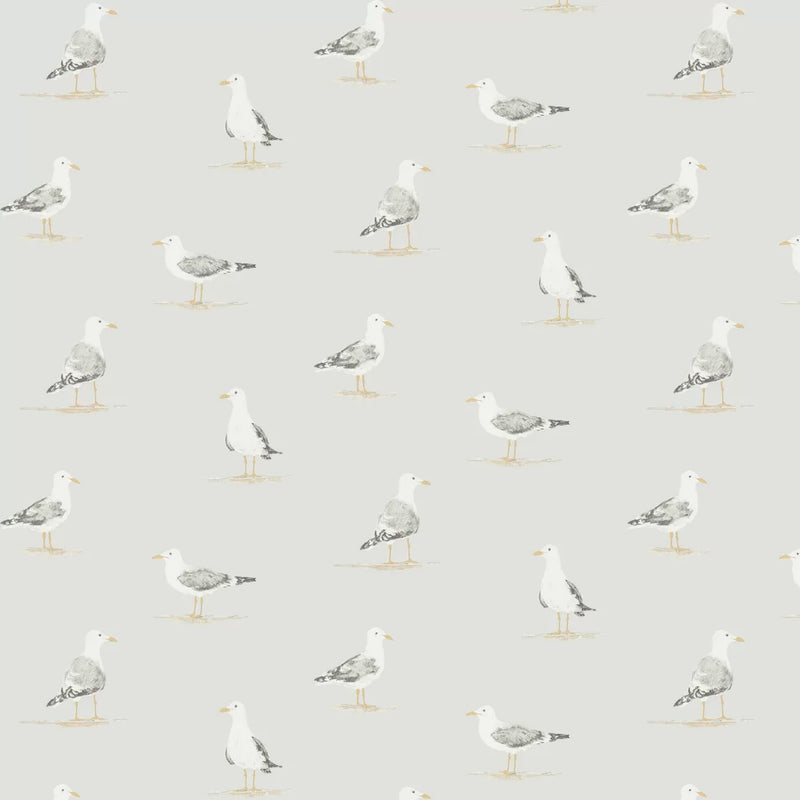 Shore Birds Wallpaper - Gull